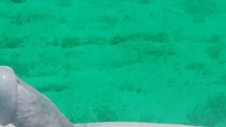Play With Your Cock Out Of Your Mouth
