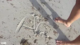 Surrendered by the Sea