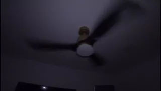 Bust it Down Thotiana Getting There Sucking Cock Like She Not a Fucking Pro Ebony Bitch Helping Her To Deepthroat - Mastermeat1