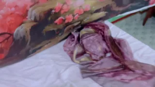 Nepali Hot Girl Ko Puti Ma Thukera Chikeko Wet & Wild