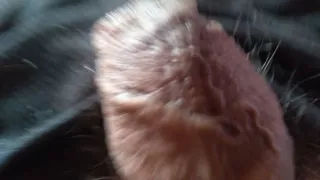 young gay man with a well-endowed cock for you