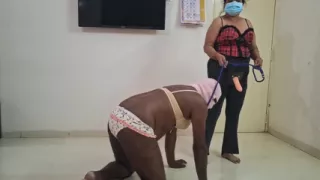 My Pet Needs Attention I Show Him His Place