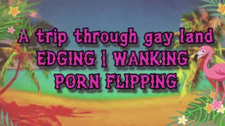 AUDIO ONLY - A trip through gayland enhanced