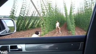 In Czech Agriculture