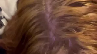 18-year-old Beauty Gives Head