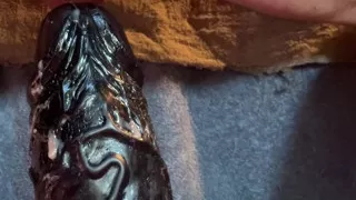 Stretching My Hole with Two Helpers