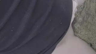 Humping the tree on my hike