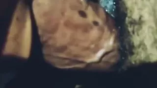 Waterfalls of Throat