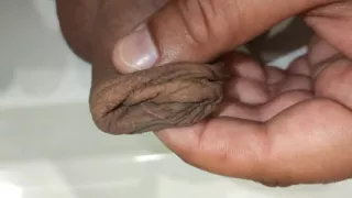 Foreskin Play - Stretching, Twisting, Squeezing, Fingering Foreskin on Uncut Cock