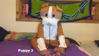 Furry Love - Cliff Media Productions