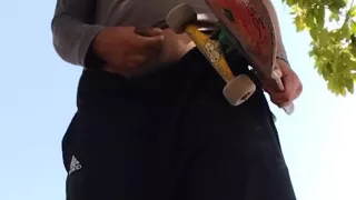 A Normal Day in the Park