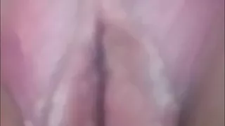 He shows his shell up close