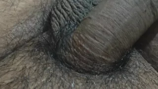 Dick in action 2