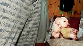 Big Dick Gay cums before bed