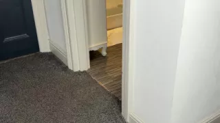 Mrs Mature Feet getting dressed for you all. 373