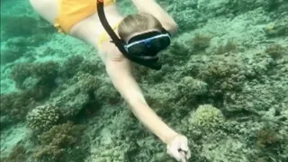 Snorkel Slut: Tight Bikini, Dive Mask & Underwater Fin Tease