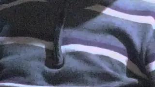 I'm do horny heat