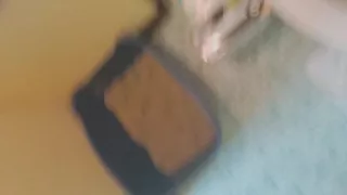 Short Creampie Cumpilation