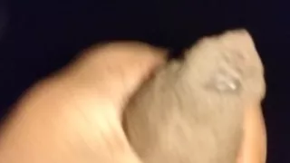 Jerking on shobha hot milf face fucking
