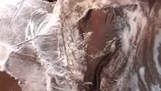 Big Ass From Africa with Love