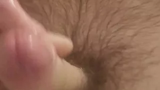 Biga