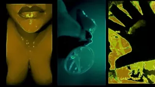 Dig butthole slurp cummies condom drain version