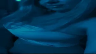 743203544831635456. mp4