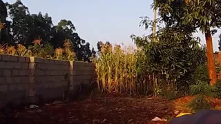 Sexy Desi Twink Stretching Compilation