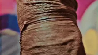Ashok Kharat viral MMS video Big Dick Ashok Kharat  Captain Ashok Kharat viral MMS video