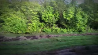 Twink took the train from the city to the forest to jerk off his cock among the mushrooms and trees