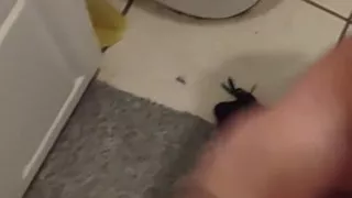 Cumming in the Bathroom