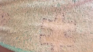 I Love Exhibitionism, It Excites Me a Lot to Jump on a Cock While There Are People Around