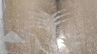 And if you accompany me to take a good shower, your hands are missing