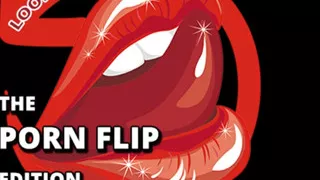 AUDIO ONLY - Porn flipper