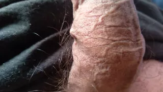 Gay dick wants  to be your sex toy