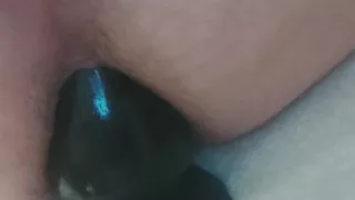 Plug and penis