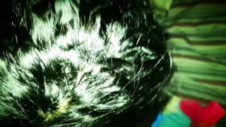 48 Inches of Colombian Booty