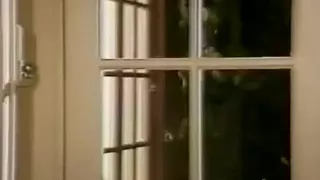 Classic Porn Dvds the Pleasure Spot Part 6