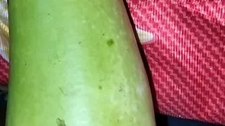 Kaddu Ke Sath Sex    Funny Sex Videos