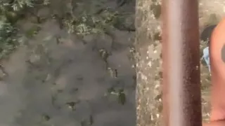 Twink Piss From the Bridge Into the River