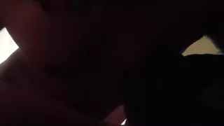 Nightriderjay