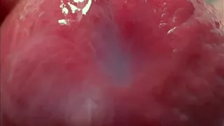 Macro Cum Shot. Ultra Close-up Ejaculation