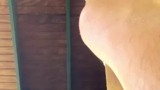 Hot Busty Masturbating Shemale Toys Her Ass