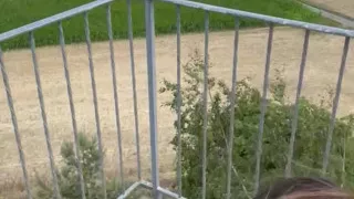 Swiss Observation Deck