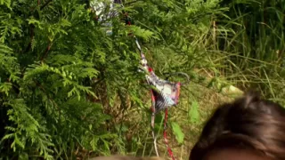 FKK outdoor lesbian like to play