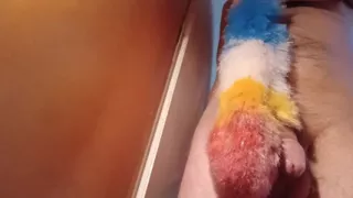 Rainbow Duster