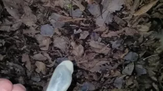 Eating Cum From Used Condom I Found