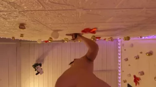 Too Many Emotions Dick for a Single Frame Dick