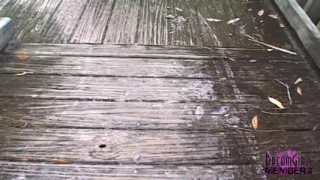 Smoking Hot Staci Gets Naked In A Nature Park