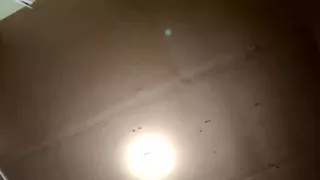 Stream Started at 02182024 08:43 Am I Hope You Catch This One